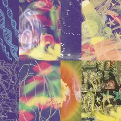 Nap Eyes The Neon Gate (LP)