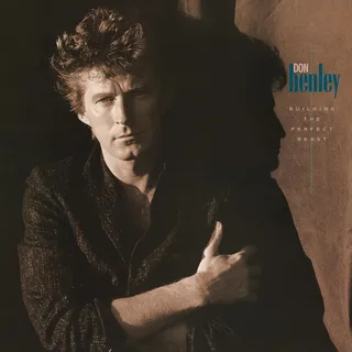 Don Henley Building The Perfect Beast (2LP)