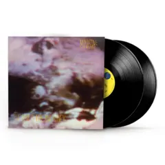 Ministry The Land Of Rape And Honey - LTD (2LP)