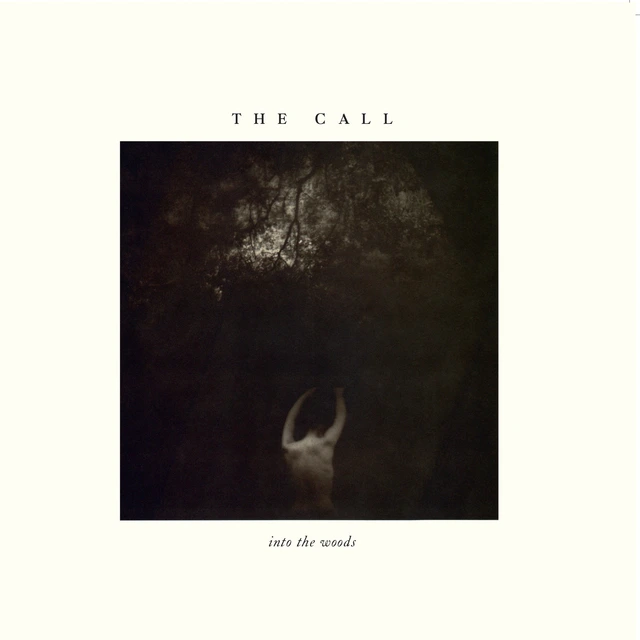 The Call Into The Woods - LTD (LP) 