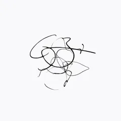Samuel Reinhard Movement (2LP)