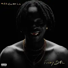 Fireboy DML Adedamola - LTD (LP)