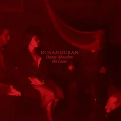 Duran Duran Danse Macabre: De Luxe (CD)