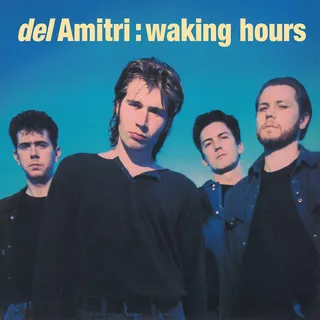 Del Amitri Waking Hours - LTD (LP)