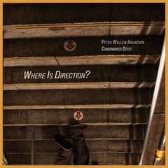 Peter Wallem Anundsen Where Is Direction? (2LP)