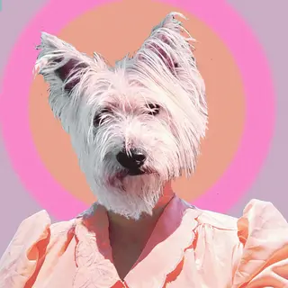 Litku Klemetti Funny Girl (LP)