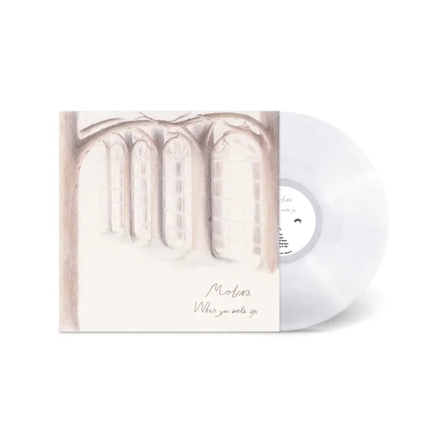 Molina When You Wake Up - LTD (LP) 