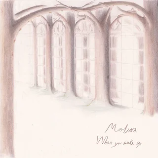 Molina When You Wake Up - LTD (LP)