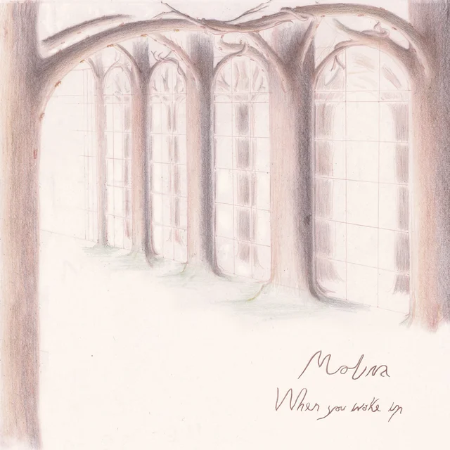 Molina When You Wake Up - LTD (LP) 