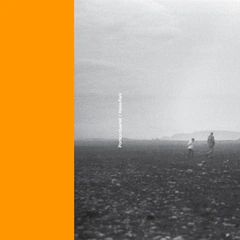 Portico Quartet / Hania Rani Portico Quartet / Hania Rani - LTD (12")