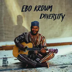 Krdum Ebo Diversity (LP)