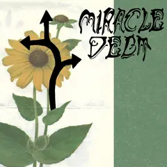 Miracle Debt Under The Shadow (LP)