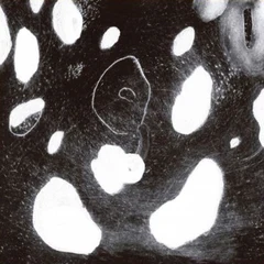 DNA? AND? + N. U. Unruh + Reynols Seele Brennt - LTD (LP)