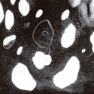 DNA? AND? + N. U. Unruh + Reynols Seele Brennt - LTD (LP)