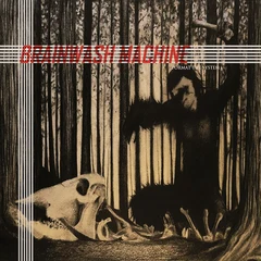 Brainwash Machine Format The System (MC)