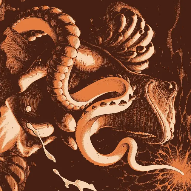Boris Amplifier Worship: 25th… - LTD (2LP) 