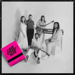 Lake Street Dive Good Together (LP)