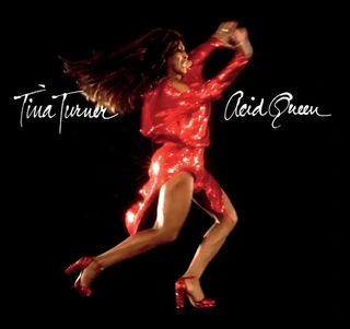 Tina Turner Acid Queen (LP)