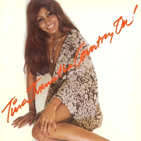 Tina Turner Tina Turns The Country On! (CD) 
