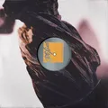 Pixies The Night The Zombies Came - LTD (LP)