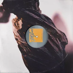 Pixies The Night The Zombies Came (LP)