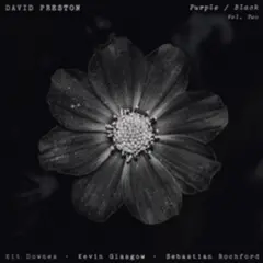 David Preston Purple / Black Vol. 2 (LP)