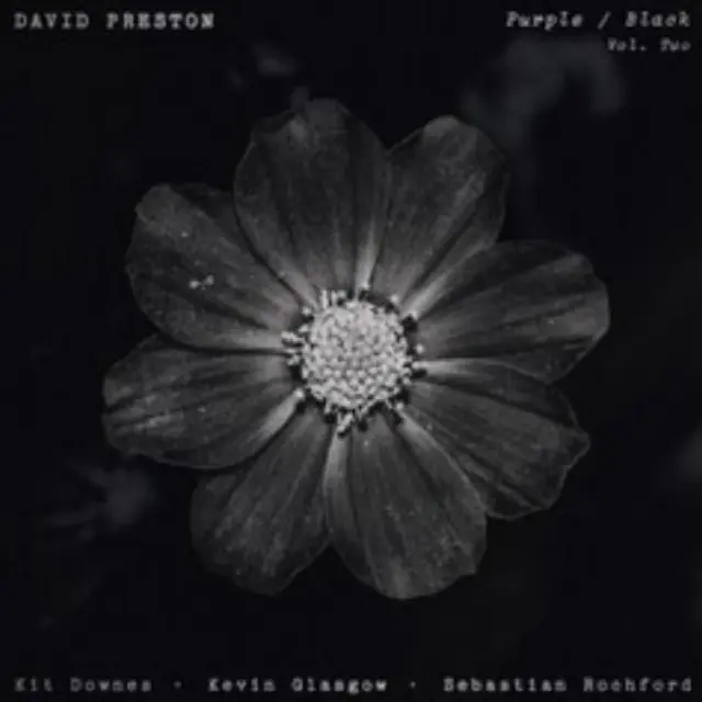 David Preston Purple / Black Vol. 2 (LP) 