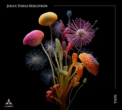 Johan Tobias Bergstrøm Nova (LP)