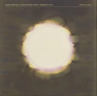 Sarah Neufeld/Richard Reed Parry First Sounds (2LP)