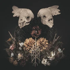 Black Birch Black Birch - LTD (2LP)