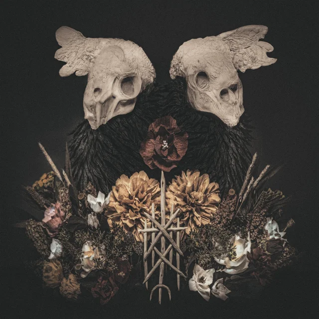 Black Birch Black Birch - LTD (2LP) 