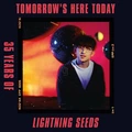 The Lightning Seeds Tomorrow's Here Today: 35 Years Of…(2LP)