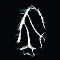 Seefeel Everything Squared (CD)
