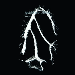 Seefeel Everything Squared (CD)