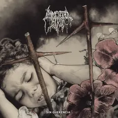 Immortal Bird Sin Querencia - LTD (LP)