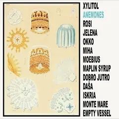 Xylitol Anemones (LP)