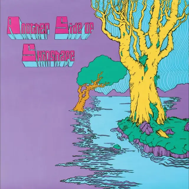 Skinshape Another Side Of Skinshape (LP) 