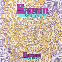 Skinshape Stornoway / Can You Play Me A Song? (7")