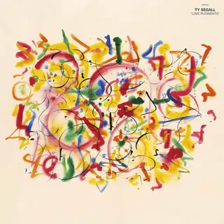 Ty Segall Love Rudiments (MC)