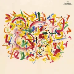 Ty Segall Love Rudiments (LP)