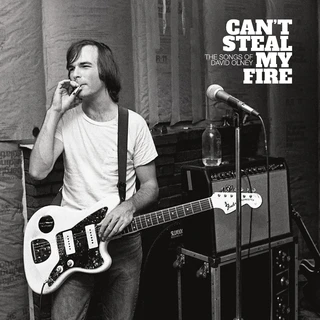 Diverse Artister Can't Steal My Fire: The Songs Of… (CD)