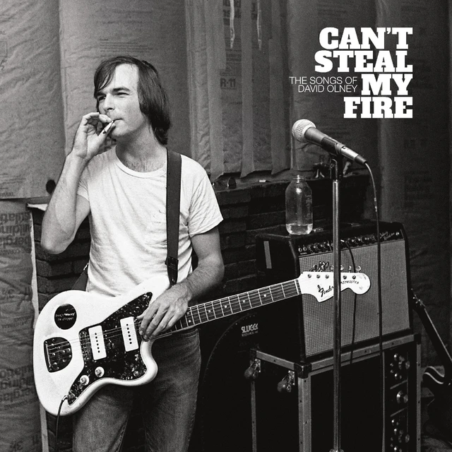 Diverse Artister Can't Steal My Fire: The Songs Of… (LP) 