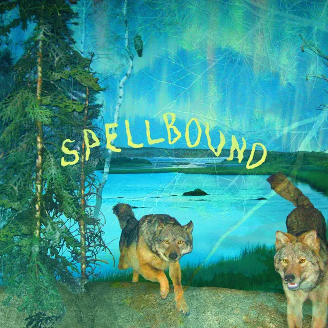 Boyscott Spellbound (MC) 