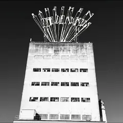 The Dead Kids Rauschen - LTD (LP)