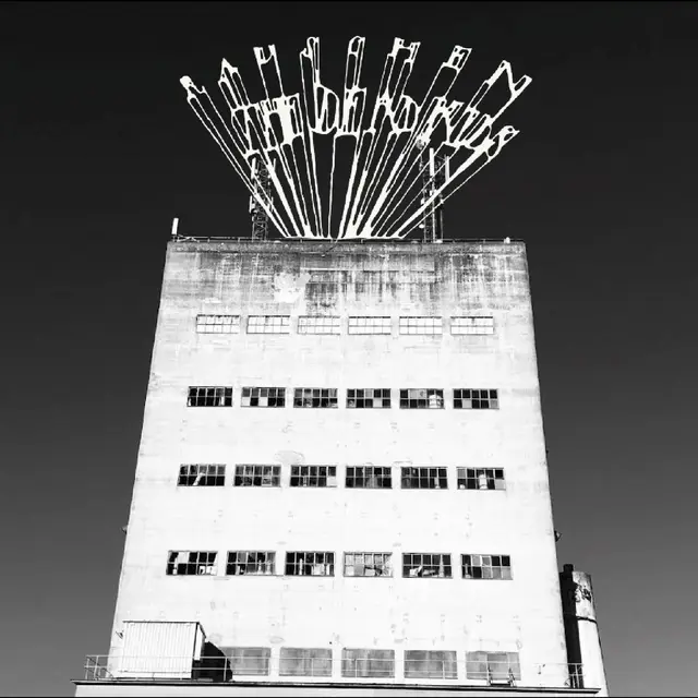 The Dead Kids Rauschen - LTD (LP) 