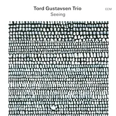 Tord Gustavsen Trio Seeing (LP)