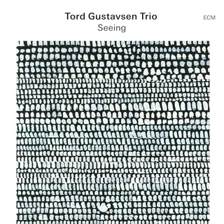 Tord Gustavsen Trio Seeing (LP)