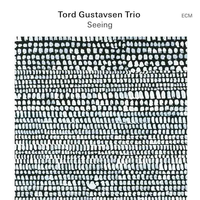Tord Gustavsen Trio Seeing (CD) 