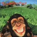 The Supernaturals It Doesn't Matter Anymore - LTD (LP)