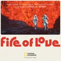Nicolas Godin Fire Of Love OST (LP)